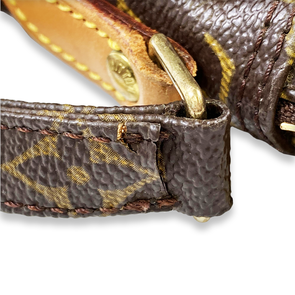 LOUIS VUITTON Amazone Monogram Crossbody Bag Pre-Owned
