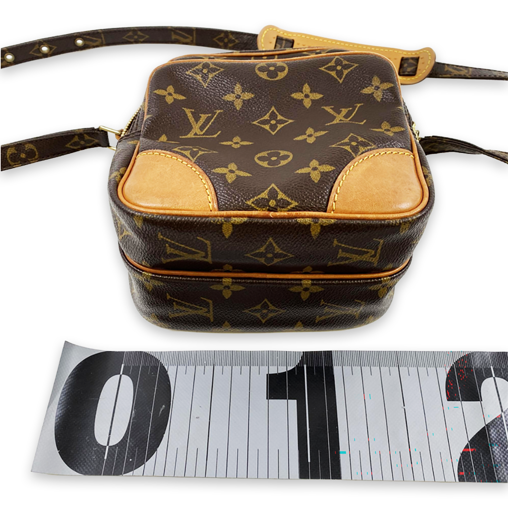 LOUIS VUITTON Amazone Monogram Crossbody Bag Pre-Owned