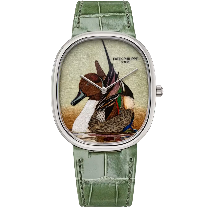 Patek Philippe Golden Ellipse Northern Pintail 5738/50G-047 34.5mm Enamel Dial