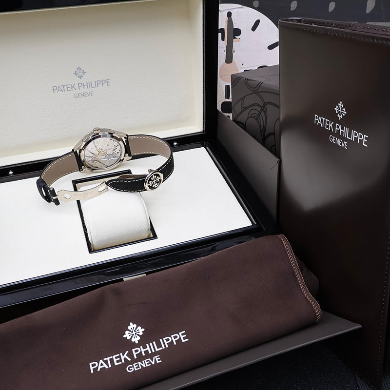 Patek Philippe Complications Annual Calendar Travel Time 41mm 5326G-001 Charcoal Grey Dial