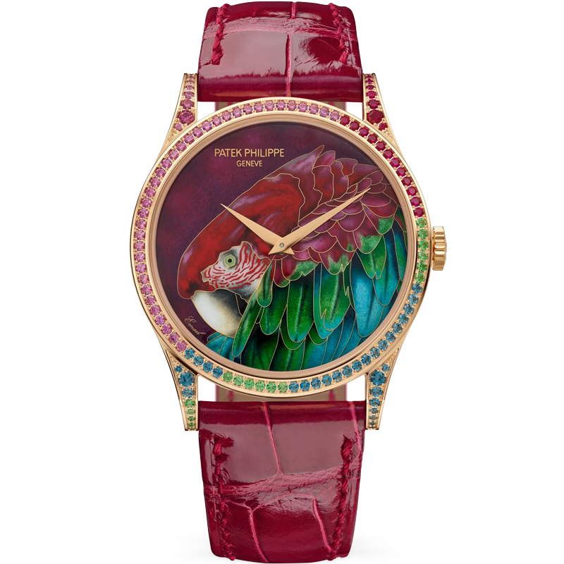 Patek Philippe Calatrava Green-Winged Macaw 5077/211R-001 38mm Enamel Dial