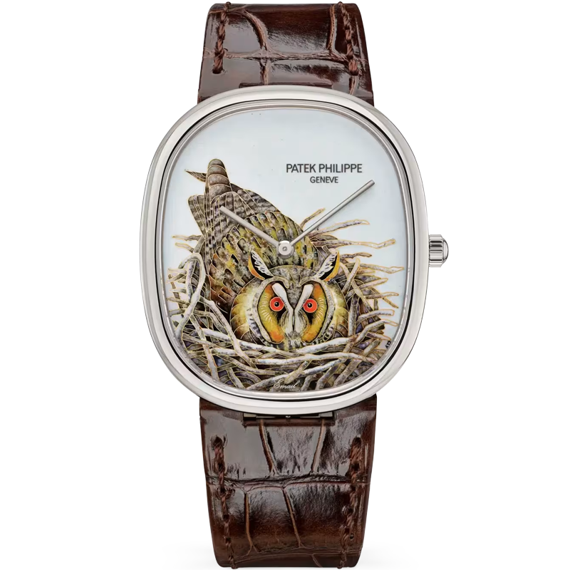 Patek Philippe Golden Ellipse Brown Owl 5738/50G-049 34.5mm Enamel Dial